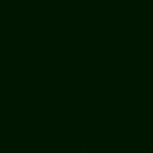 CERAMIC Pintura Efecto Lacado Pebeo 45ml. - VERDE HOJA