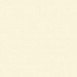 CERAMIC Pintura Efecto Lacado Pebeo 45ml. - NACAR
