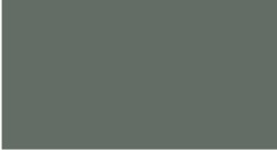 H DUPONT Classique Pintura para Seda Fijación al Vapor 125ml. - GRIS CHARTREUX - 106