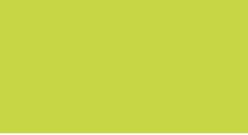 H DUPONT Classique Pintura para Seda Fijación al Vapor 125ml. - VERDE ANIS - 601