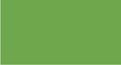 H DUPONT Classique Pintura para Seda Fijación al Vapor 125ml. - VERDE FOLLAJE - 617