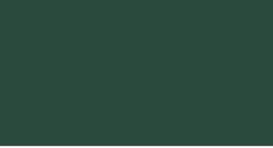 H DUPONT Classique Pintura para Seda Fijación al Vapor 125ml. - VERDE INGLÉS - 663