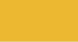 H DUPONT Classique Pintura para Seda Fijación al Vapor 125ml. - AMARILLO DORADO - 751