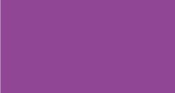 H DUPONT Classique Pintura para Seda Fijación al Vapor 125ml. - VIOLETA - 901