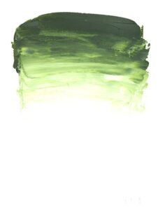 OLEO SENNELIER RIVE GAUCHE - Tubo 40ml. · VERDE VEJIGA 819