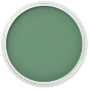 PANPASTEL Pastel Ultrasuave para Artistas - VERDE PERMANENTE SOMBRA 640.3