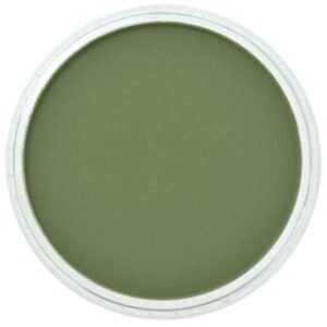 PANPASTEL Pastel Ultrasuave para Artistas - VERDE OX CROMO SOMBRA 660.3