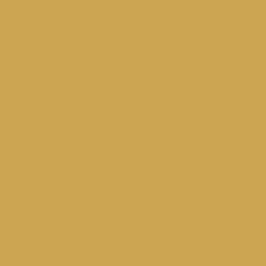Model Air Vallejo 17ml. - US Amarillo Interior