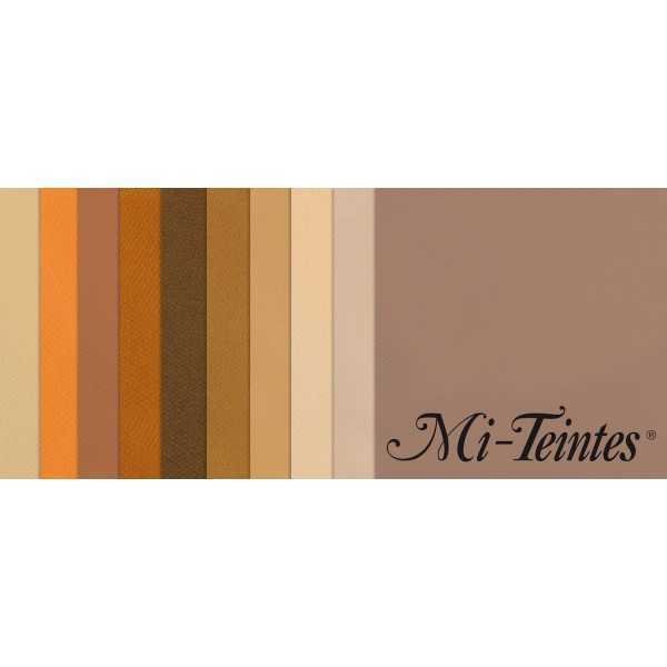 Pack 10 Hojas 50x65 Canson Mi-Teintes Tonos Tierra