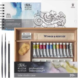 Acuarela Winsor Newton Profesional Caja 12 colores