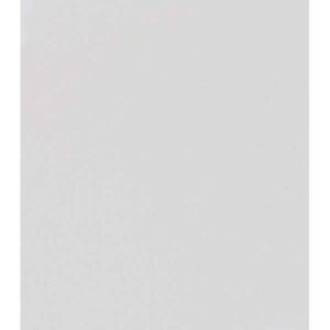 Acuarela SCHMINCKE HORADAM Pastilla - Godet · BLANCO TITANIO OPACO 101