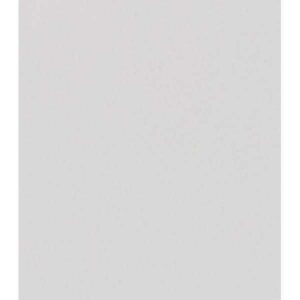 Acuarela SCHMINCKE HORADAM Pastilla - 1/2 Godet · BLANCO CHINA PERMANT. 102