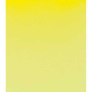 Acuarela SCHMINCKE HORADAM Pastilla - Godet · AMARILLO LIMON 215