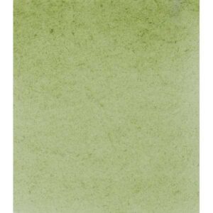 Acuarela SCHMINCKE HORADAM Pastilla - Godet · TIERRA VERDE 516