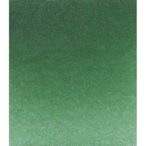 Acuarela SCHMINCKE HORADAM Pastilla - 1/2 Godet · VERDE HOOKER 521
