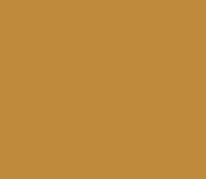 Abstract Sennelier Acrilico - Tubo 120ml. · TIERRA SIENA NATURAL