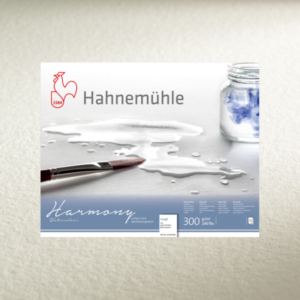 HAHNEMUHLE HARMONY 300 G 12Hojas Encolado 4 lados - Grano Grueso · 40x50cm.